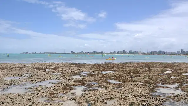 Capa: Melhores praias de Maceió