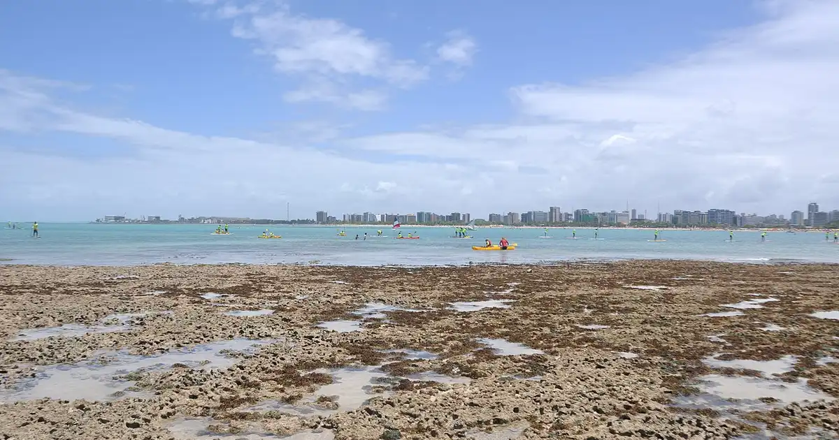 Imagem de destaque: Melhores praias de Maceió
