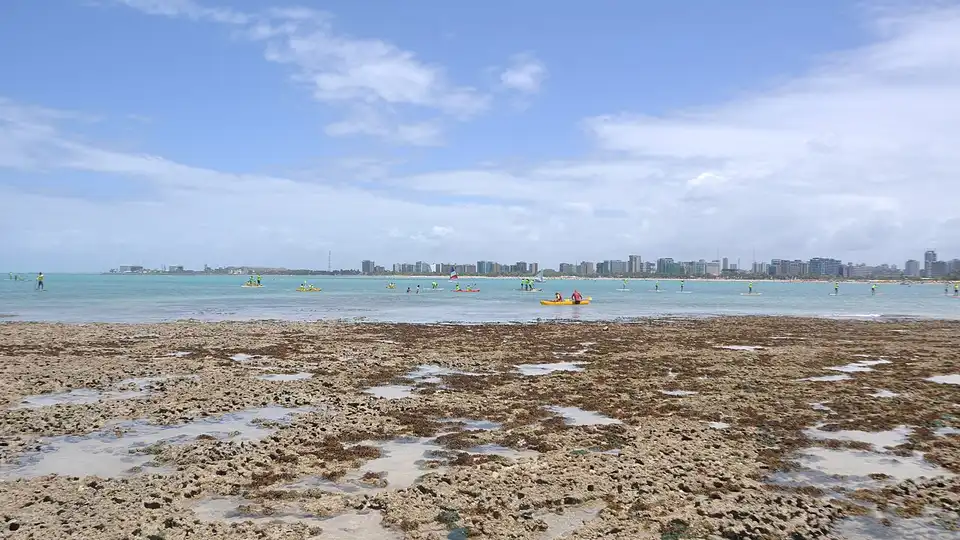 Ponta Verde em Maceió — orla com banhistas, palmeiras e mar turquesa