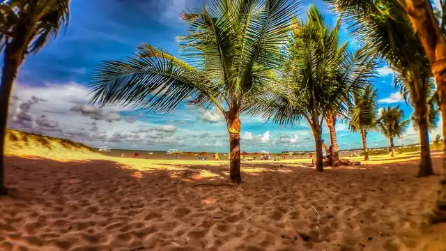 Capa: Praia de Tambaú: guia completo