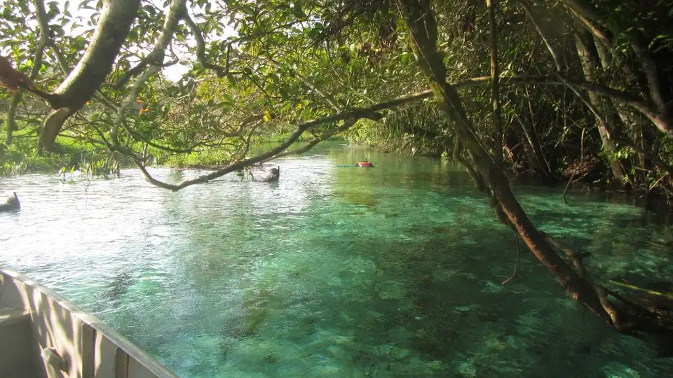 Flutuação no Rio Sucuri, Bonito — visitantes com snorkel na água turquesa entre a mata ciliar, vistos do barco de apoio