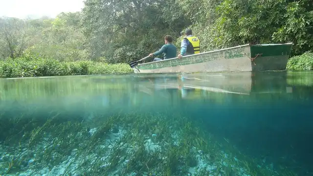 Capa: Rio Sucuri: flutuação em Bonito, guia completo