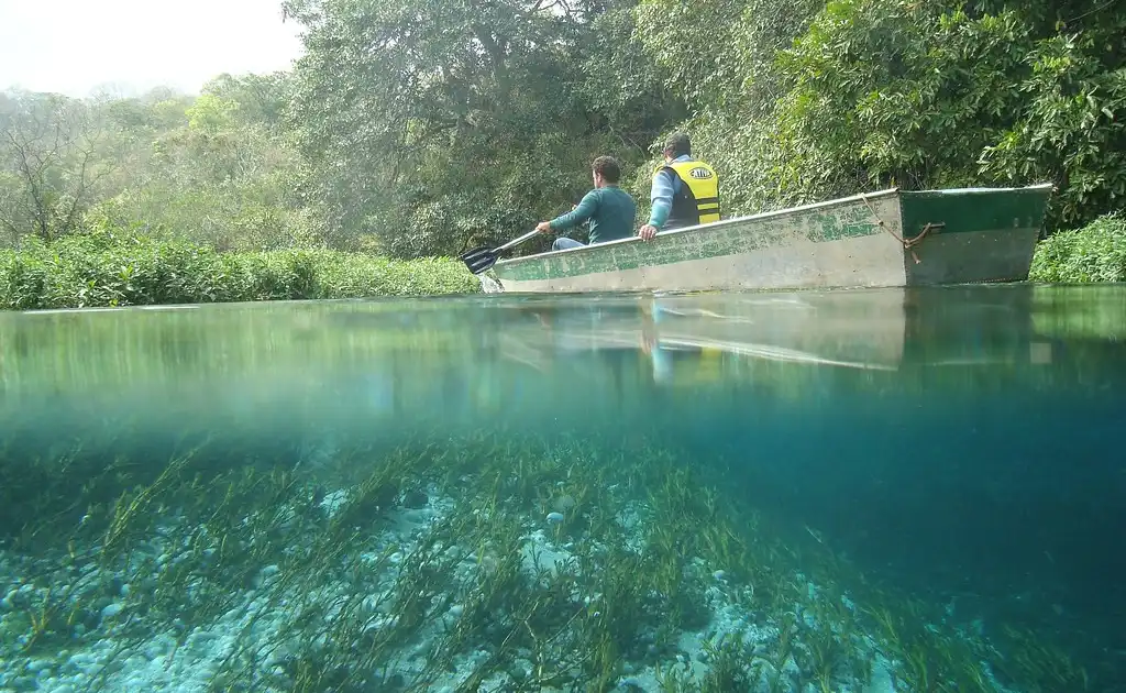 Imagem de destaque: Rio Sucuri: flutuação em Bonito, guia completo