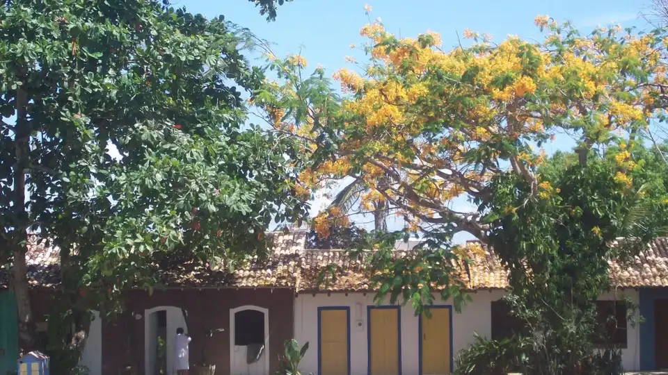 Casas coloniais coloridas com telhado de terracota no Quadrado de Trancoso, BA, com árvore florida de flores amarelas e céu azul