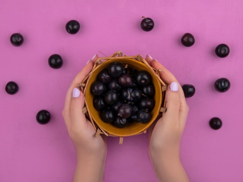 Açaí - Culinária Paraense em Belém