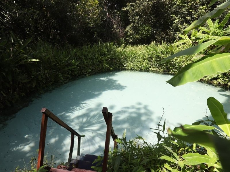 Fervedouro do Buritizinho -  Jalapão