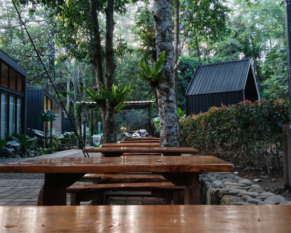 Restaurantes de "Comida de Quintal