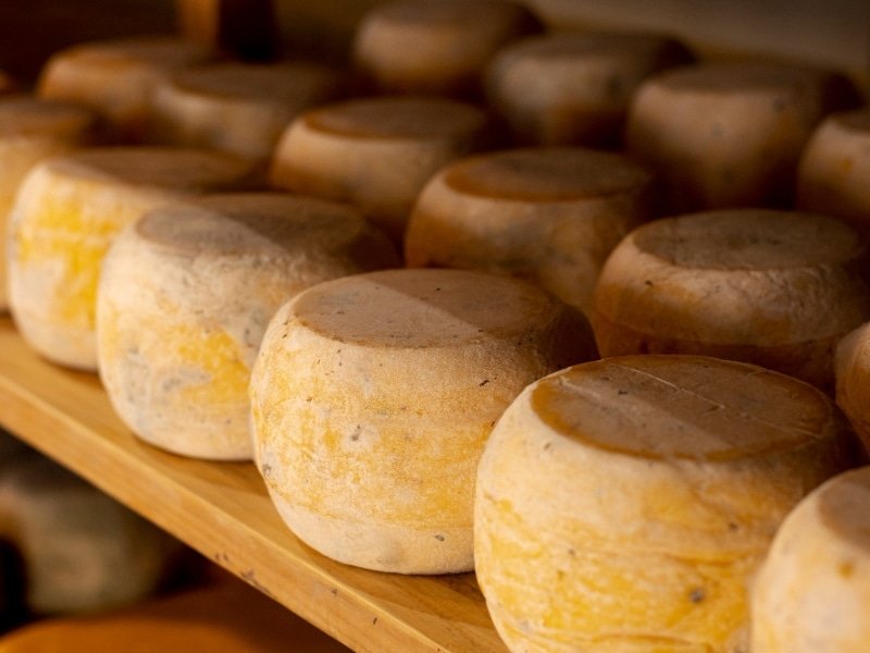 A Rota do Queijo Artesanal